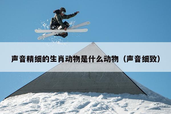 声音精细的生肖动物是什么动物（声音细致）
