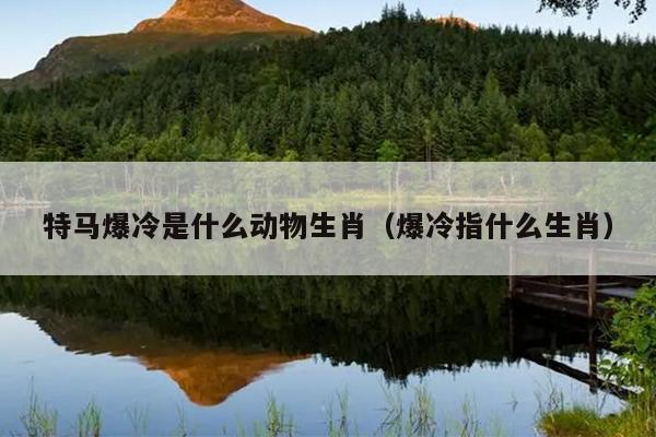 特马爆冷是什么动物生肖（爆冷指什么生肖）