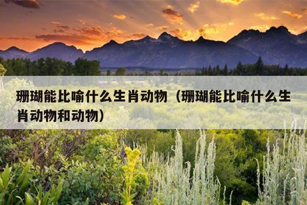 珊瑚能比喻什么生肖动物（珊瑚能比喻什么生肖动物和动物）