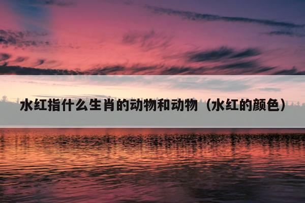 水红指什么生肖的动物和动物（水红的颜色）
