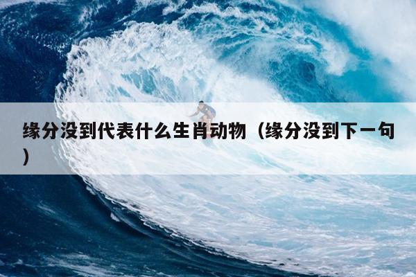 缘分没到代表什么生肖动物（缘分没到下一句）