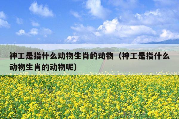 神工是指什么动物生肖的动物（神工是指什么动物生肖的动物呢）