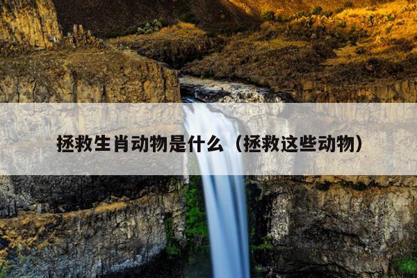 拯救生肖动物是什么（拯救这些动物）
