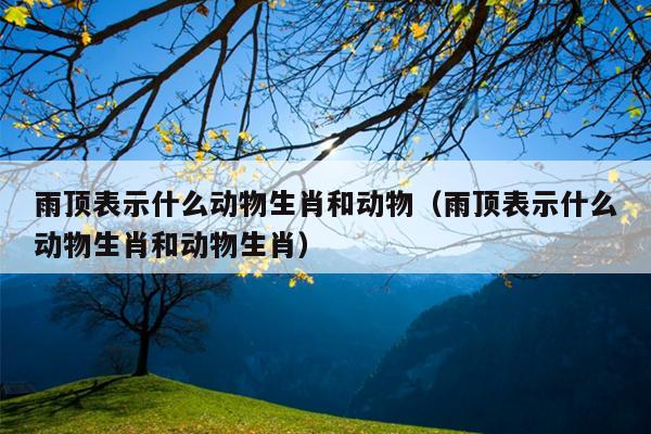 雨顶表示什么动物生肖和动物（雨顶表示什么动物生肖和动物生肖）