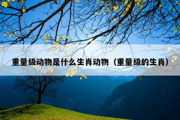 重量级动物是什么生肖动物（重量级的生肖）