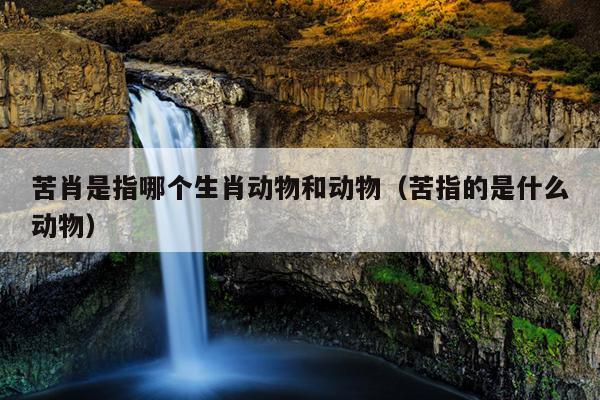 苦肖是指哪个生肖动物和动物（苦指的是什么动物）