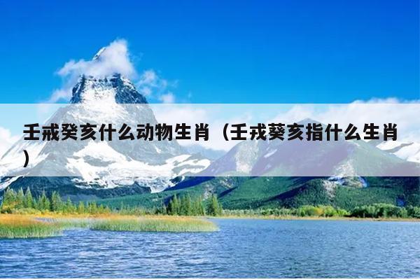 壬戒癸亥什么动物生肖（壬戎葵亥指什么生肖）