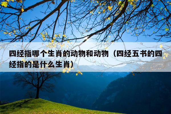 四经指哪个生肖的动物和动物（四经五书的四经指的是什么生肖）