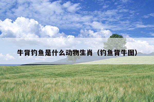 牛背钓鱼是什么动物生肖（钓鱼背牛图）