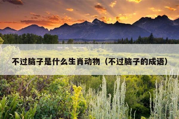不过脑子是什么生肖动物（不过脑子的成语）