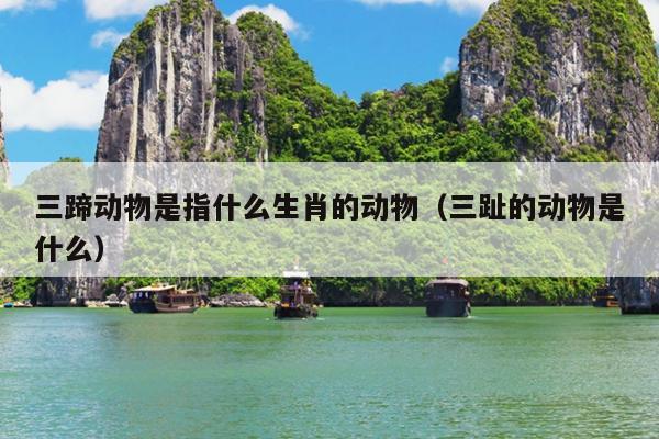 三蹄动物是指什么生肖的动物（三趾的动物是什么）