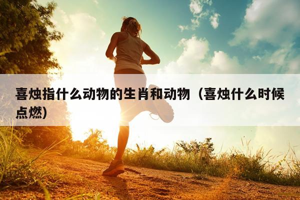 喜烛指什么动物的生肖和动物（喜烛什么时候点燃）
