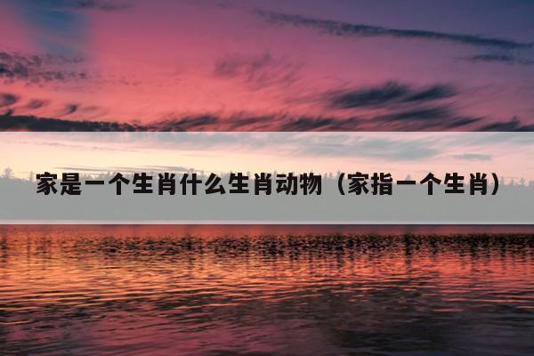 家是一个生肖什么生肖动物（家指一个生肖）