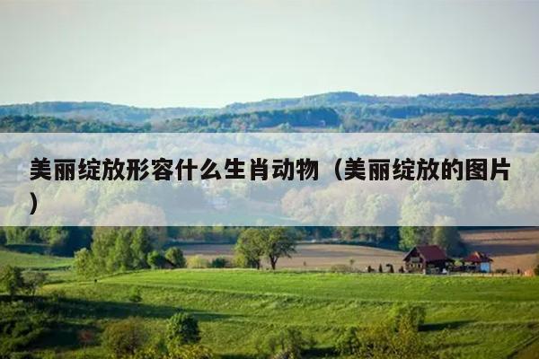 美丽绽放形容什么生肖动物（美丽绽放的图片）