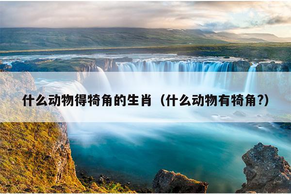 什么动物得犄角的生肖（什么动物有犄角?）