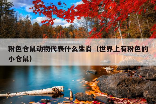 粉色仓鼠动物代表什么生肖（世界上有粉色的小仓鼠）