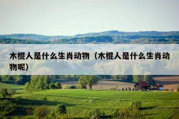 木棍人是什么生肖动物（木棍人是什么生肖动物呢）
