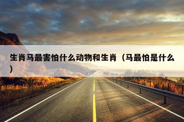 生肖马最害怕什么动物和生肖（马最怕是什么）