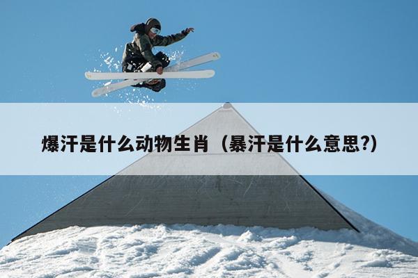 爆汗是什么动物生肖（暴汗是什么意思?）