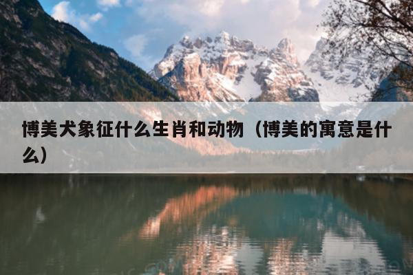 博美犬象征什么生肖和动物（博美的寓意是什么）