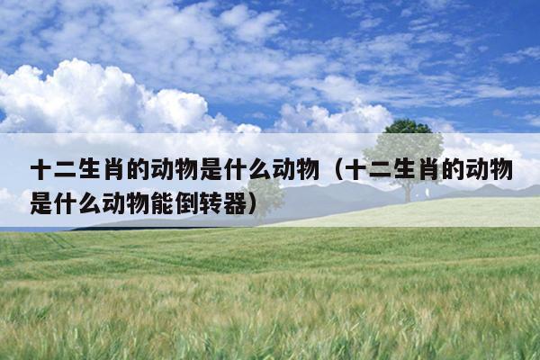 十二生肖的动物是什么动物（十二生肖的动物是什么动物能倒转器）