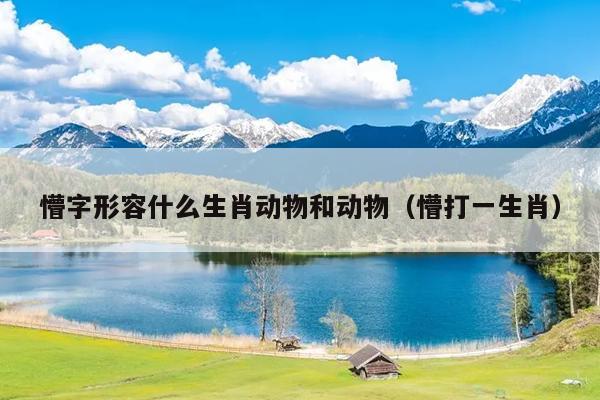 懵字形容什么生肖动物和动物（懵打一生肖）