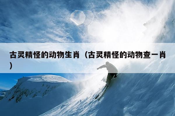 古灵精怪的动物生肖（古灵精怪的动物查一肖）