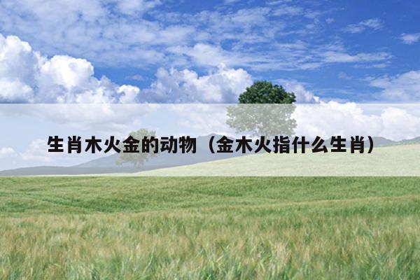 生肖木火金的动物（金木火指什么生肖）