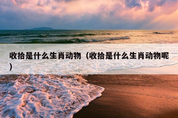 收拾是什么生肖动物（收拾是什么生肖动物呢）
