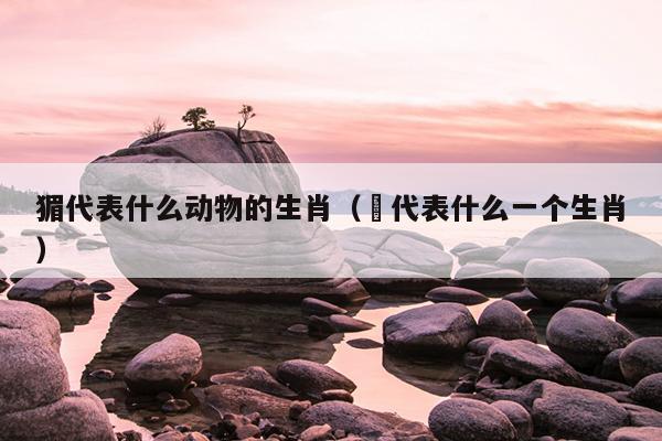 猸代表什么动物的生肖（杻代表什么一个生肖）