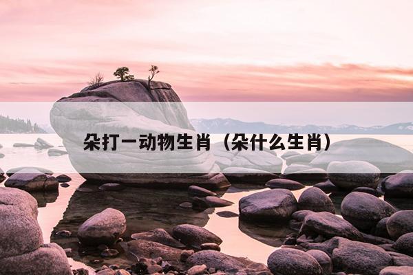 朵打一动物生肖（朵什么生肖）