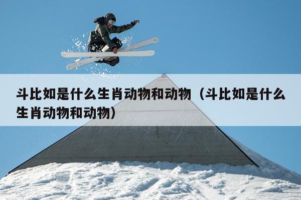 斗比如是什么生肖动物和动物（斗比如是什么生肖动物和动物）