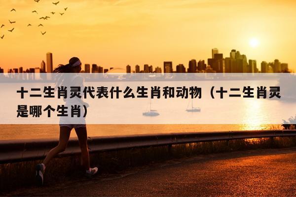 十二生肖灵代表什么生肖和动物（十二生肖灵是哪个生肖）