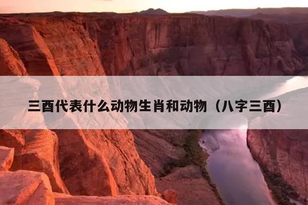 三酉代表什么动物生肖和动物（八字三酉）