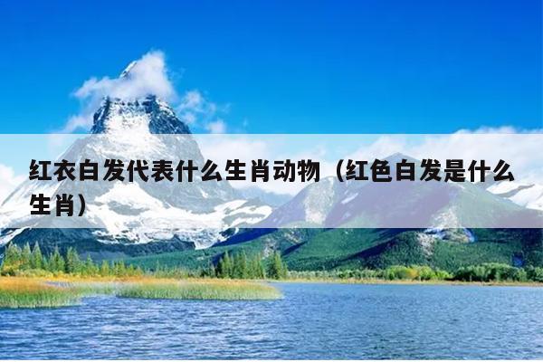红衣白发代表什么生肖动物（红色白发是什么生肖）