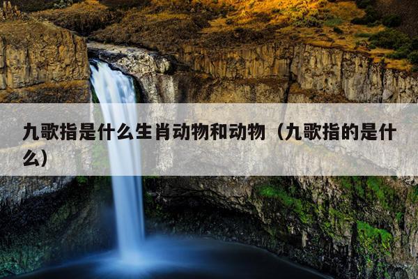 九歌指是什么生肖动物和动物（九歌指的是什么）