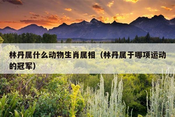 林丹属什么动物生肖属相（林丹属于哪项运动的冠军）