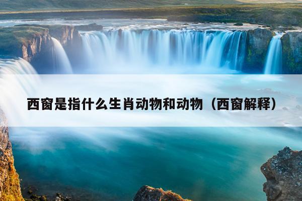 西窗是指什么生肖动物和动物（西窗解释）