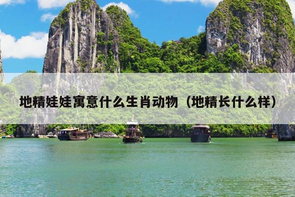 地精娃娃寓意什么生肖动物（地精长什么样）