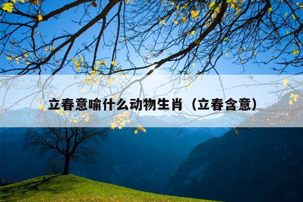 立春意喻什么动物生肖（立春含意）