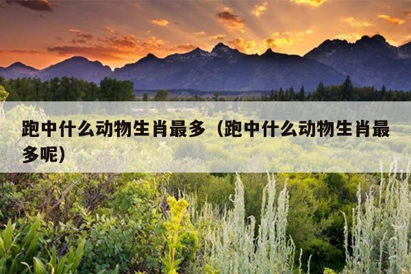 跑中什么动物生肖最多（跑中什么动物生肖最多呢）