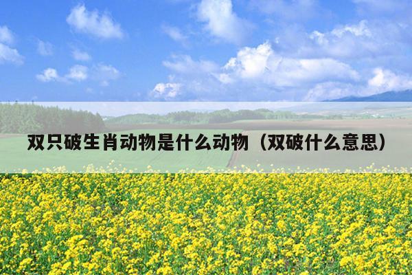 双只破生肖动物是什么动物（双破什么意思）
