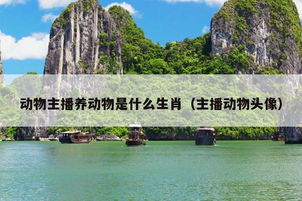 动物主播养动物是什么生肖（主播动物头像）