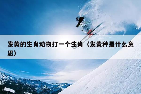 发黄的生肖动物打一个生肖（发黄种是什么意思）