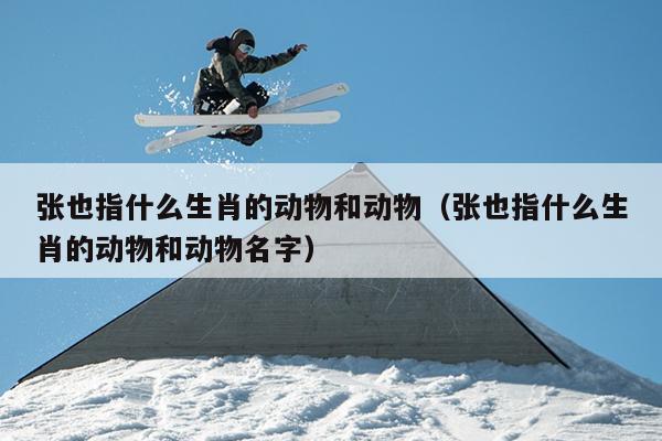 张也指什么生肖的动物和动物（张也指什么生肖的动物和动物名字）