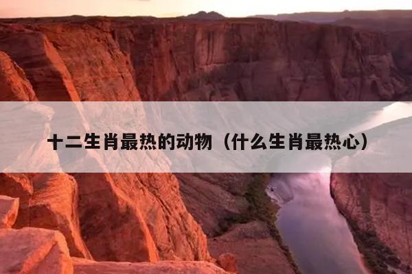 十二生肖最热的动物（什么生肖最热心）