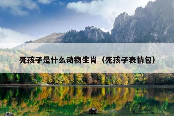 死孩子是什么动物生肖（死孩子表情包）