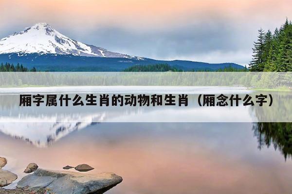 厢字属什么生肖的动物和生肖（厢念什么字）