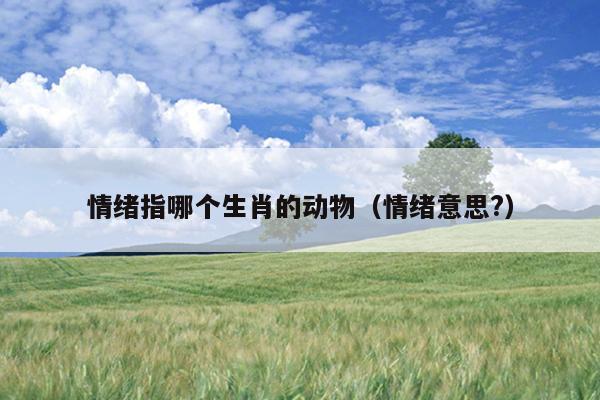 情绪指哪个生肖的动物（情绪意思?）