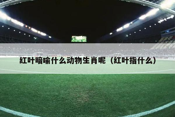 红叶暗喻什么动物生肖呢（红叶指什么）
